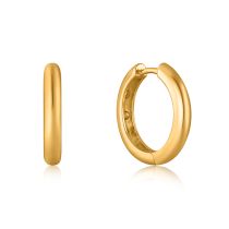 ANIA HAIE Ohrring E034-06G